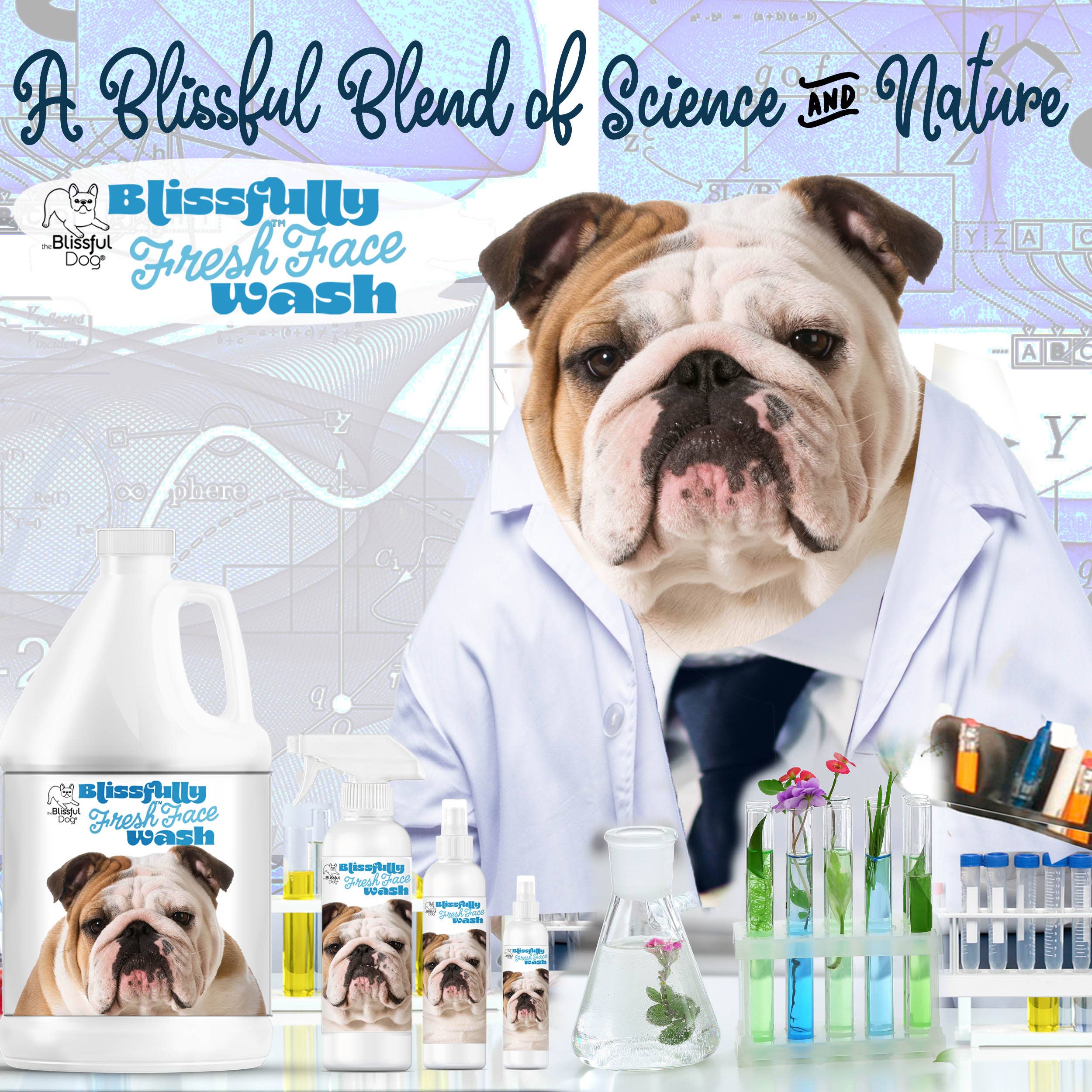 The Blissful Dog - Wholesale Pet Cleaning Supplies - Blissfully Fresh Face Wash I 4, 8 & 16 oz6