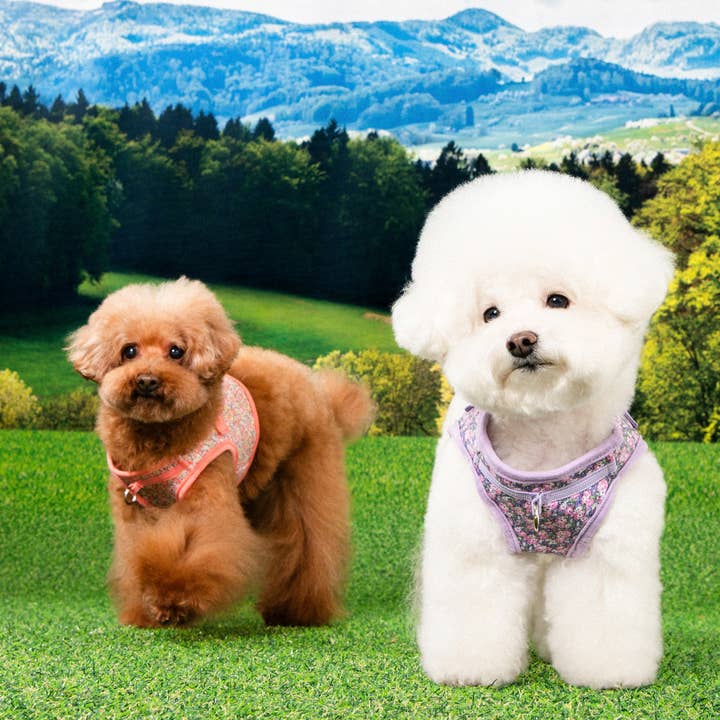 Puppia International Inc. - Wholesale Pet Harness - Dog - KEALOHA STEP IN DOG HARNESS FLORAL5