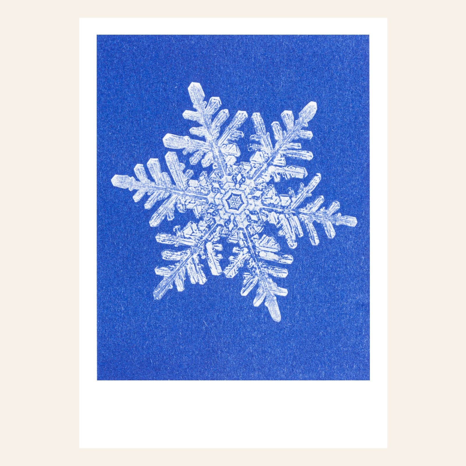 HERR & FRAU RIO - Wholesale Postcard - Neves postcard0