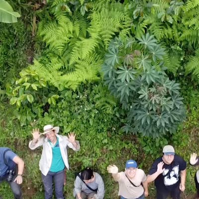 Desnudo Coffee - Wholesale Coffee Beans - BULK DESNUDO DECAF ESPRESSO2