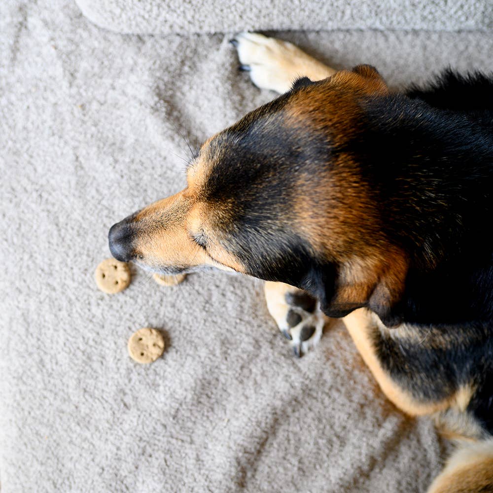 VEGDOG - Wholesale Pet Food - Dog - BEDTIME COOKIES 400 g3