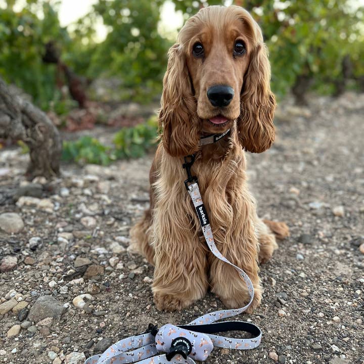 barkzie - Wholesale Pet Poop Bag Dispenser - Poop bag Holder - Toronto2