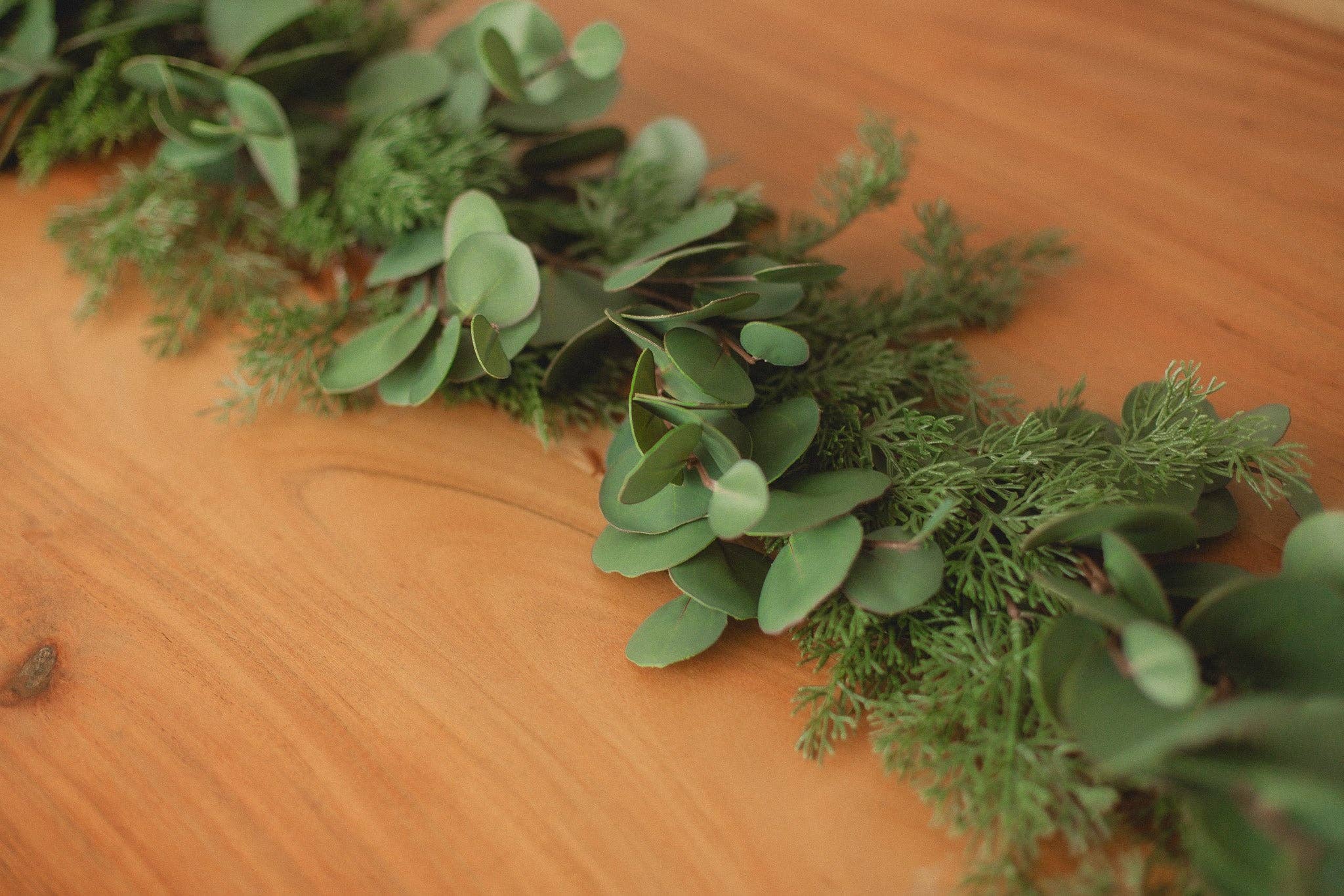 Eucalypt Co. - Wholesale Bunting/Garland - Cypress Pine Garland2