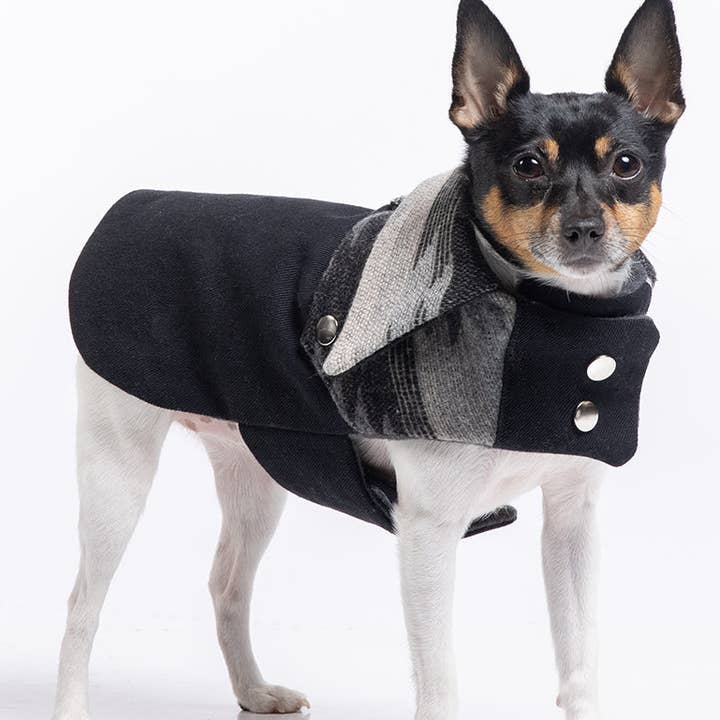 DCNY Smoked Charcoal Ranch Coat for wholesale by DoggieCoutureNY