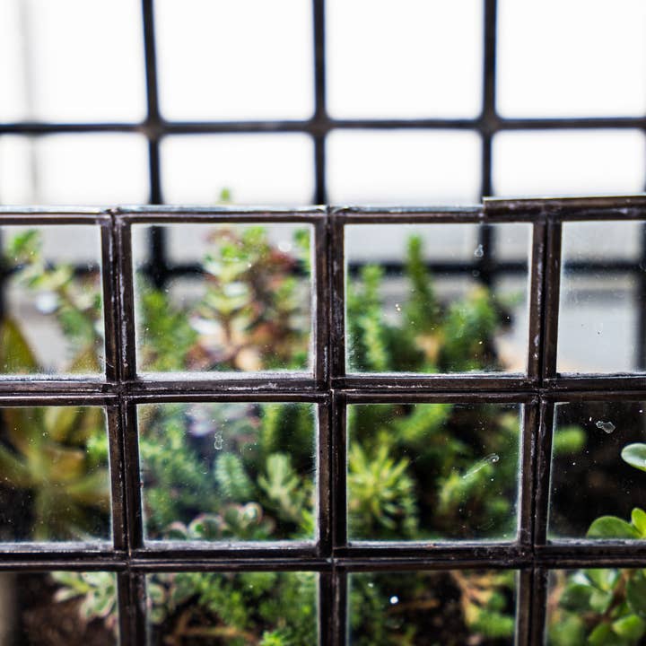 Urban Born - Wholesale Terrarium - Glass Terrarium Lattice, Large, 8x8x12"5