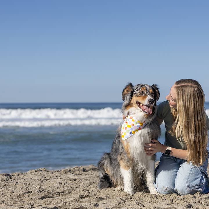 Dog Bandana Co. – wholesale Bandana - Hund – Popsicle Dubbelsidig Slips & Snäpp Hundbandana