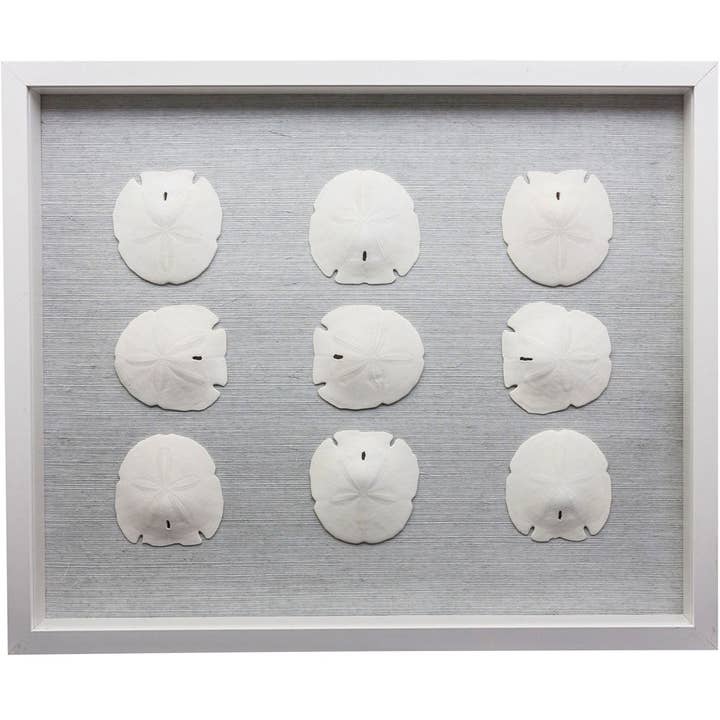 Boîte à ombres Sealife, blanc/blanc pour la vente par Jamie Dietrich Designs