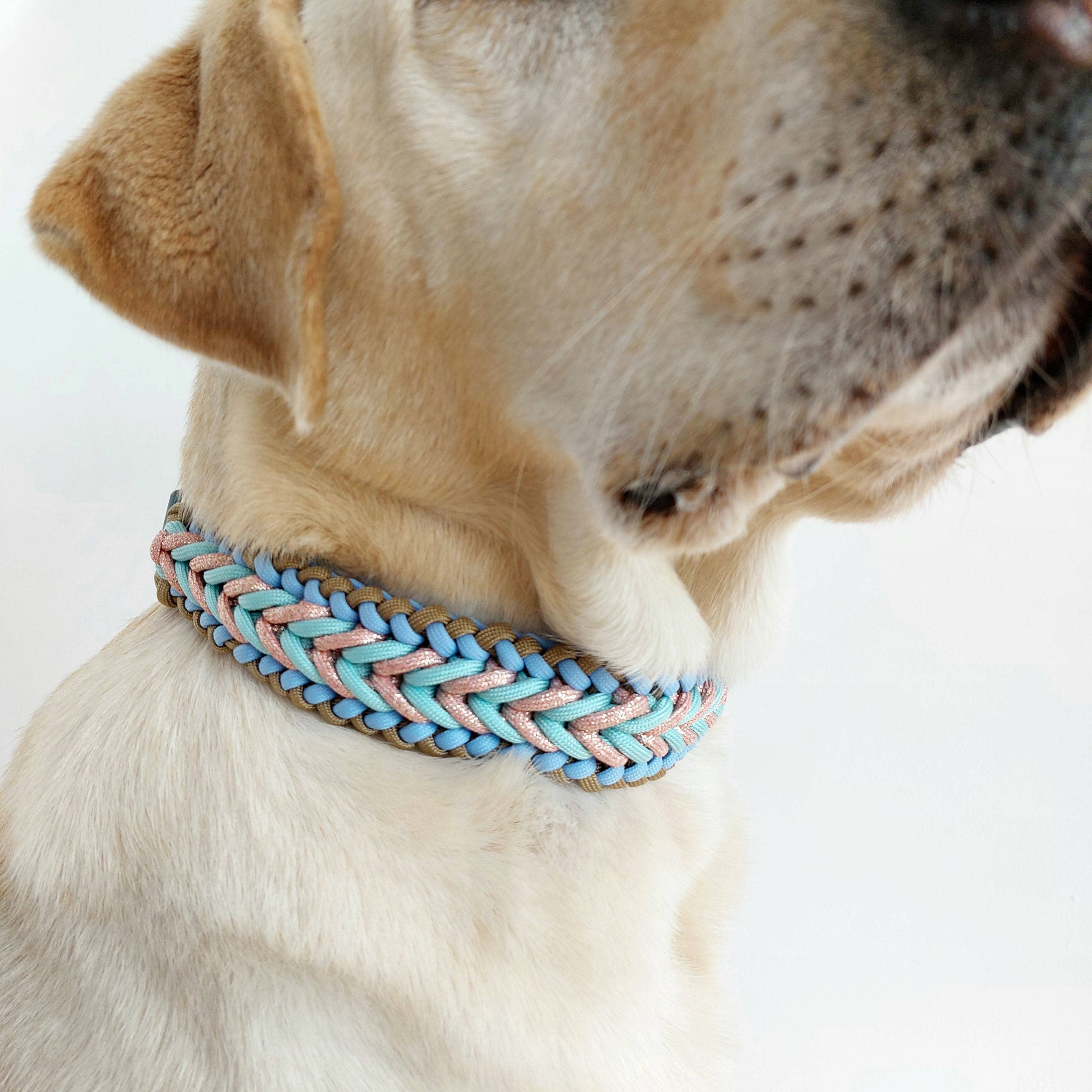 Truffe & Flair - Wholesale Pet Collar - Dog - Braided dog collar - Biothane/Paracord - Sky blue1