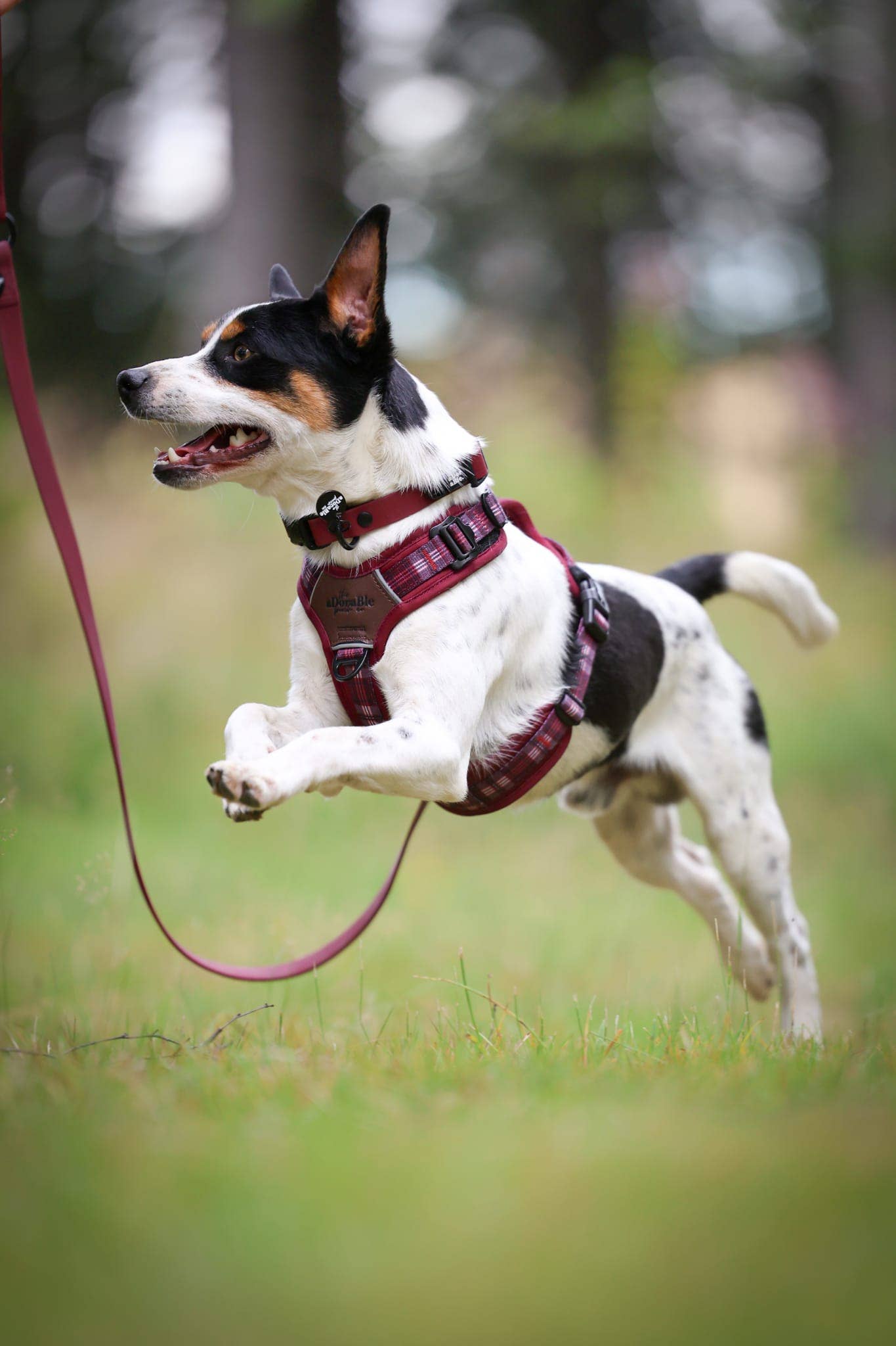 The aDoraBle Pooch Company - Wholesale Pet Harness - Dog - Streamline Pro™ Dog Harness - Heritage Collection - Merlot Manor3