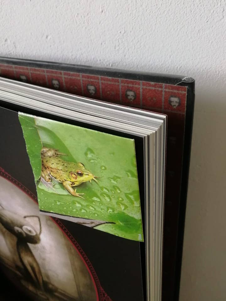 Kikkerbladwijzer voor wholesale door Funnycreation