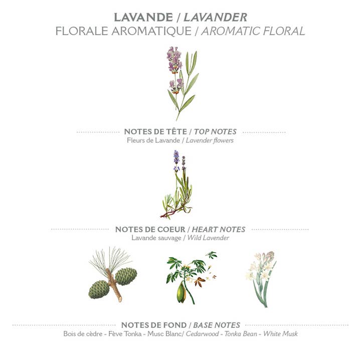 Panier Des Sens - Wholesale Body Cream/Lotion - Body milk 250 ml | Lavender