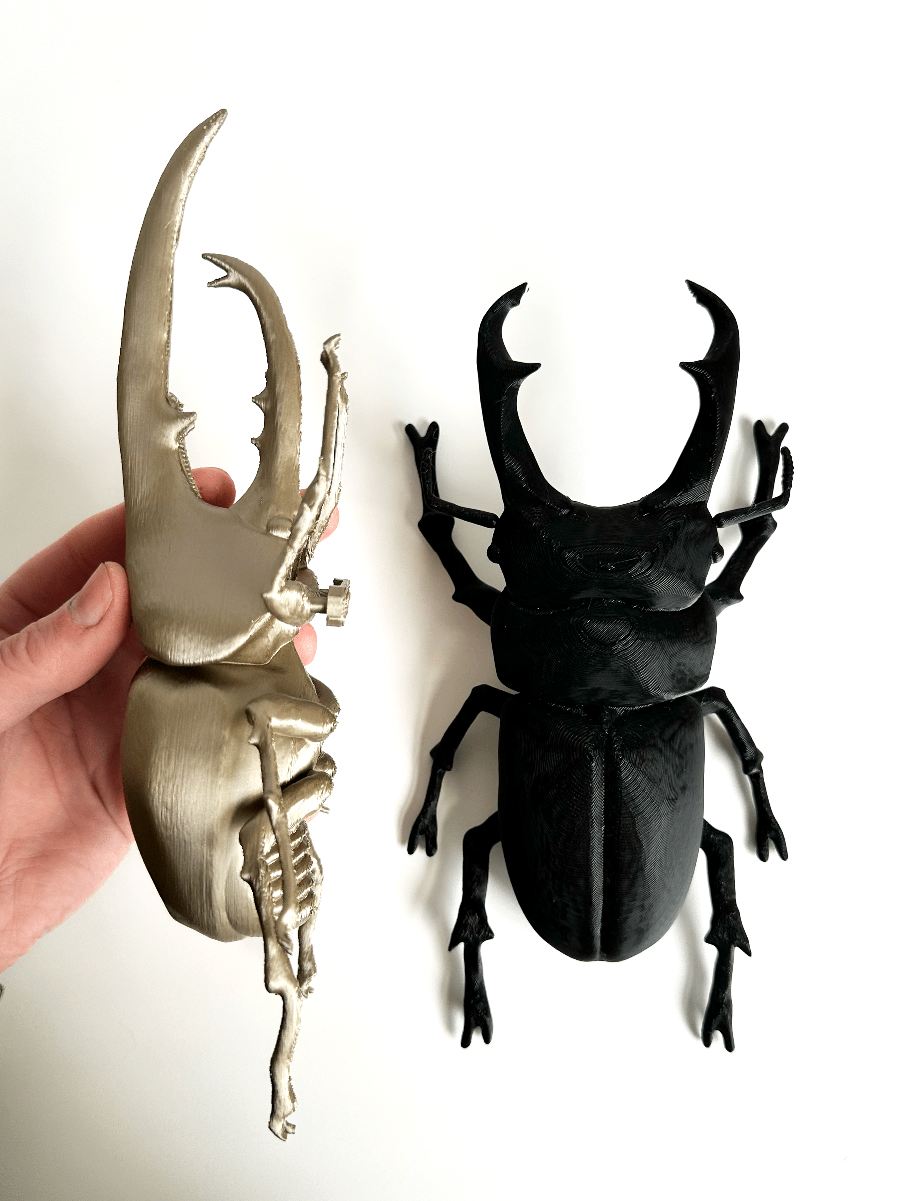 Faux Theory Design - Venta al por mayor Decoración de pared - Niños y bebés - Escarabajos Gigantes Impresos en 3D: Escarabajo Hércules y Escarabajo Ciervo11