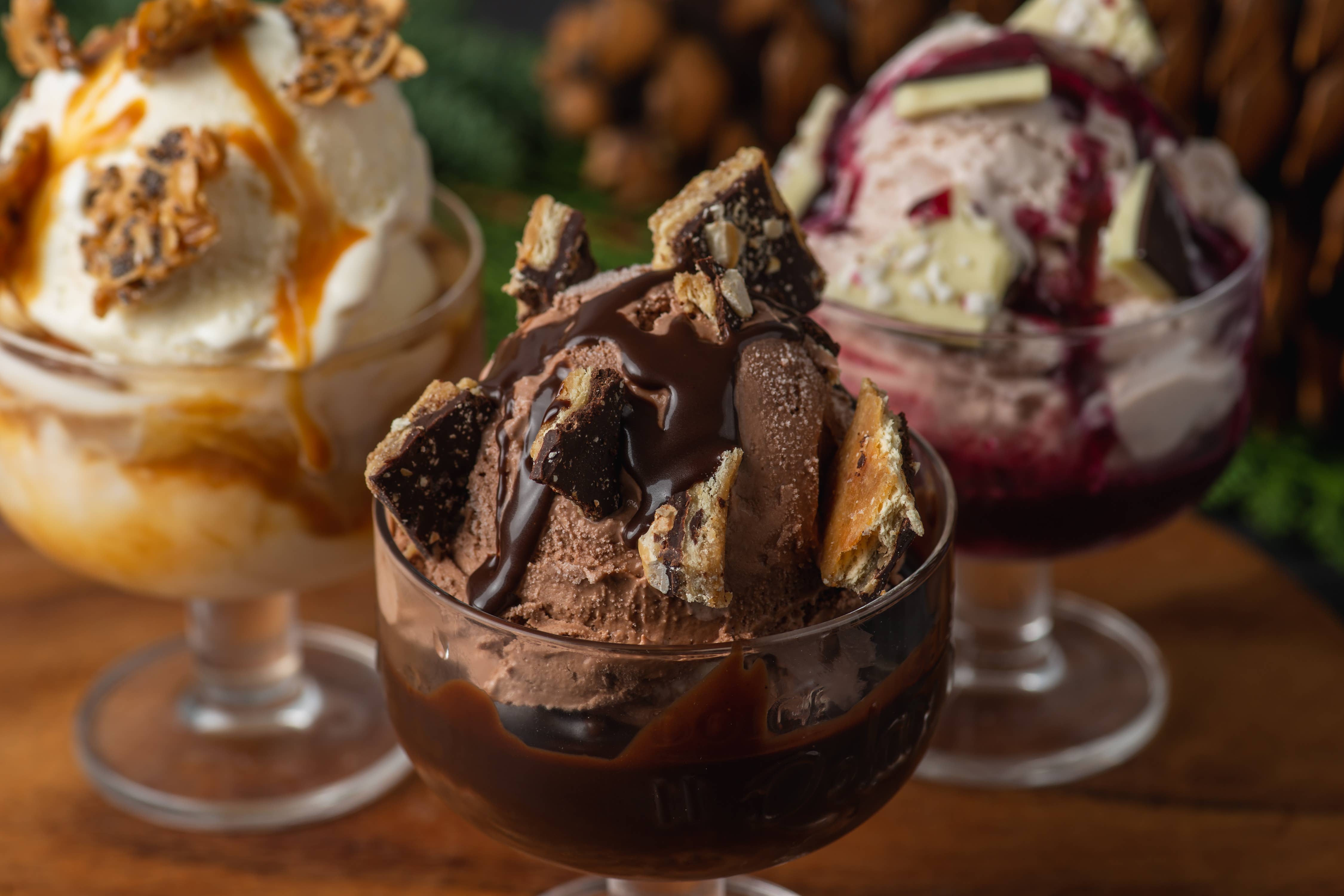 Sugarpine Drive-In - Wholesale Hot Fudge/Chocolate Spread - Honey Hot Fudge Sundae Sauce4