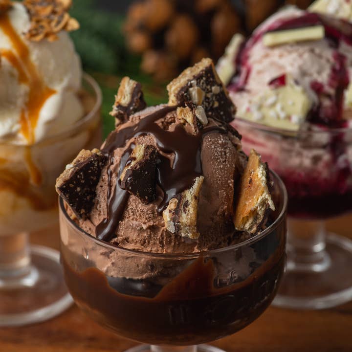 Sugarpine Drive-In - Wholesale Hot Fudge/Chocolate Spread - Honey Hot Fudge Sundae Sauce4