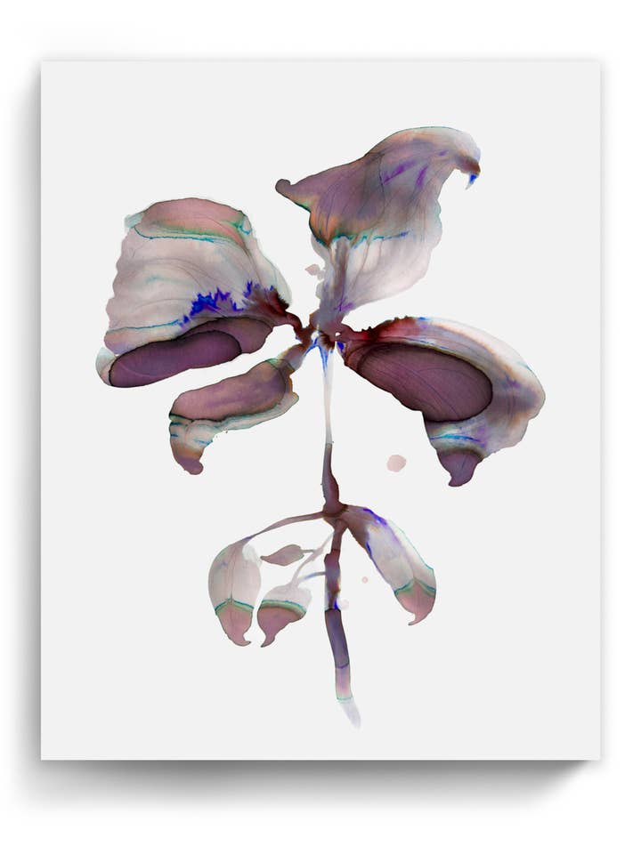 Botanische Muurkunst Prints Abstracte Flora Plant Aquarel Papier & Canvas | Orpha 2 voor wholesale door Marta Spendowska