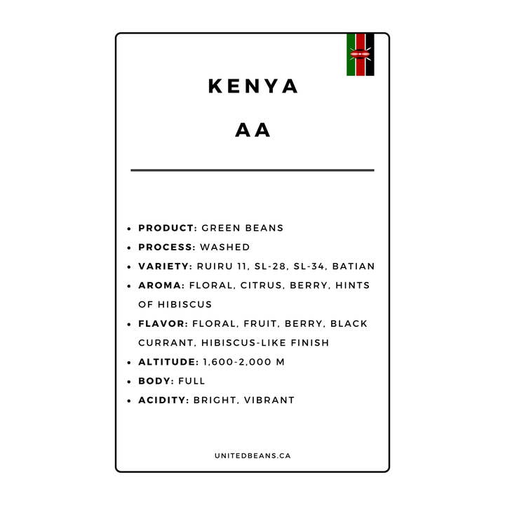 United Beans Coffee Roastery - Wholesale Coffee Beans - Specialty Green Coffee Beans | Kenya AA1