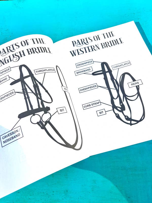 Circus Unicorn Shop - Wholesale Education Book - The Riding Student's Horse Workbook6