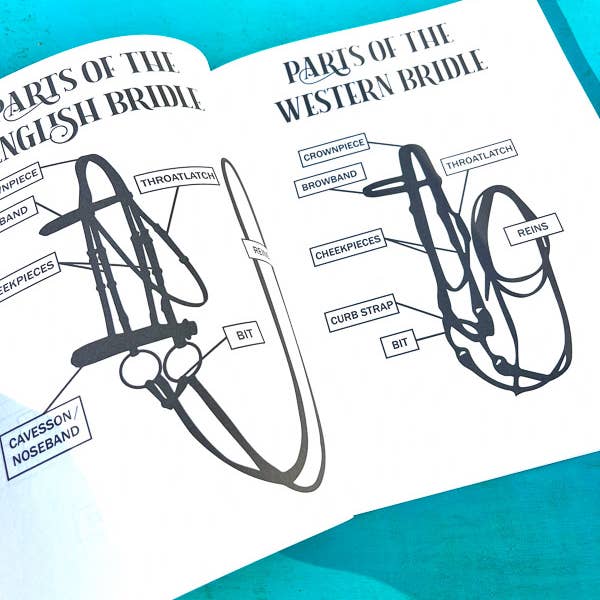 Circus Unicorn Shop - Wholesale Education Book - The Riding Student's Horse Workbook6