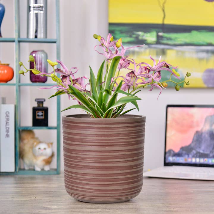 Greenship Garden USA - Wholesale Plant Pot - GreenShip Set of 4 Hand Carved Planters , W. 7.88"x H. 7.88"2