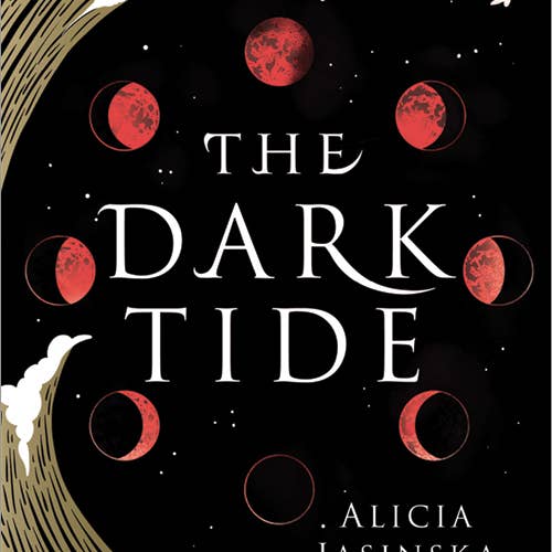 Sourcebooks - Wholesale Book - Adult - Dark Tide