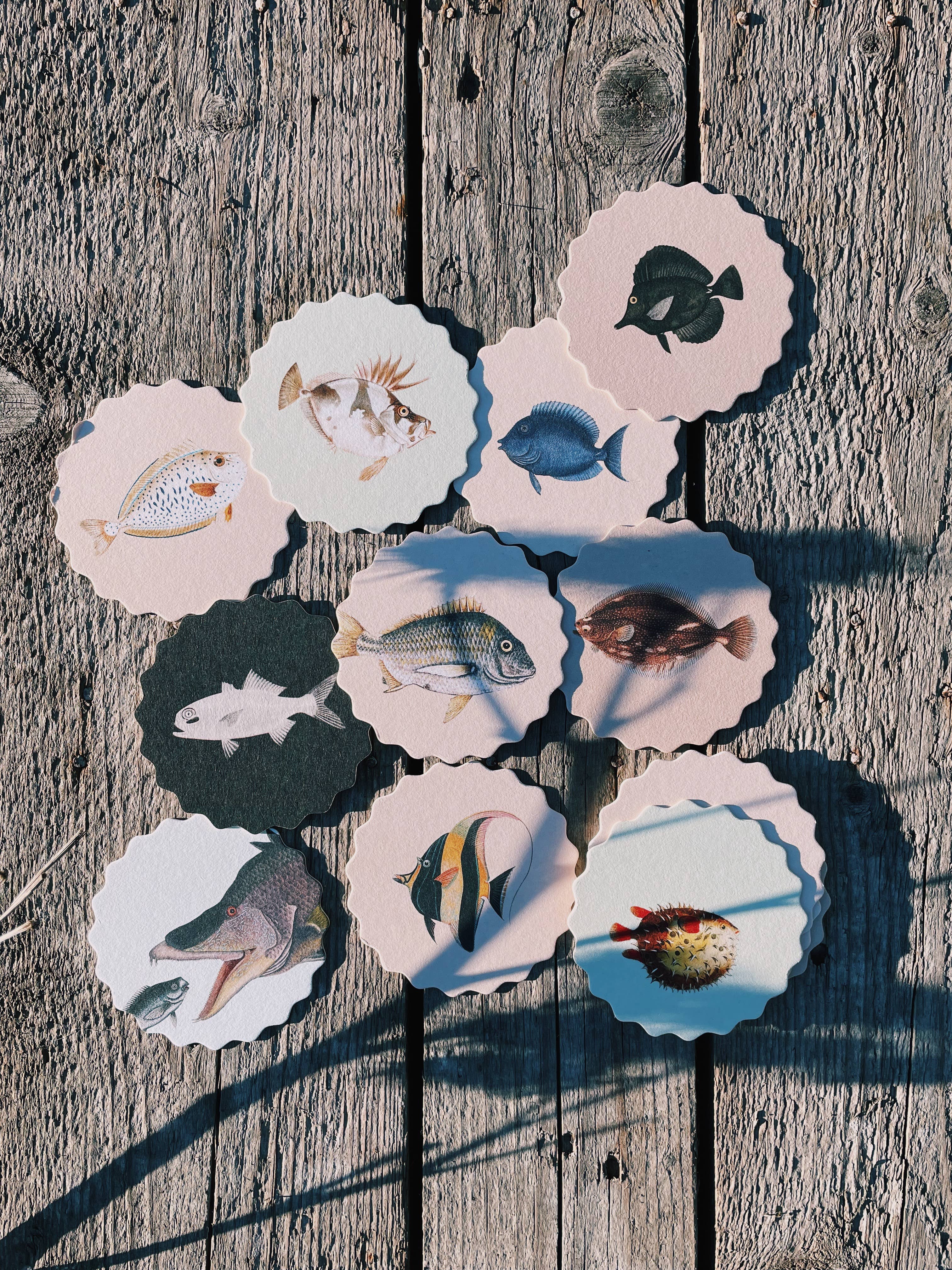 30x40 - Wholesale Coasters - Coaster Set Fish 🐠🐟🐡 2
