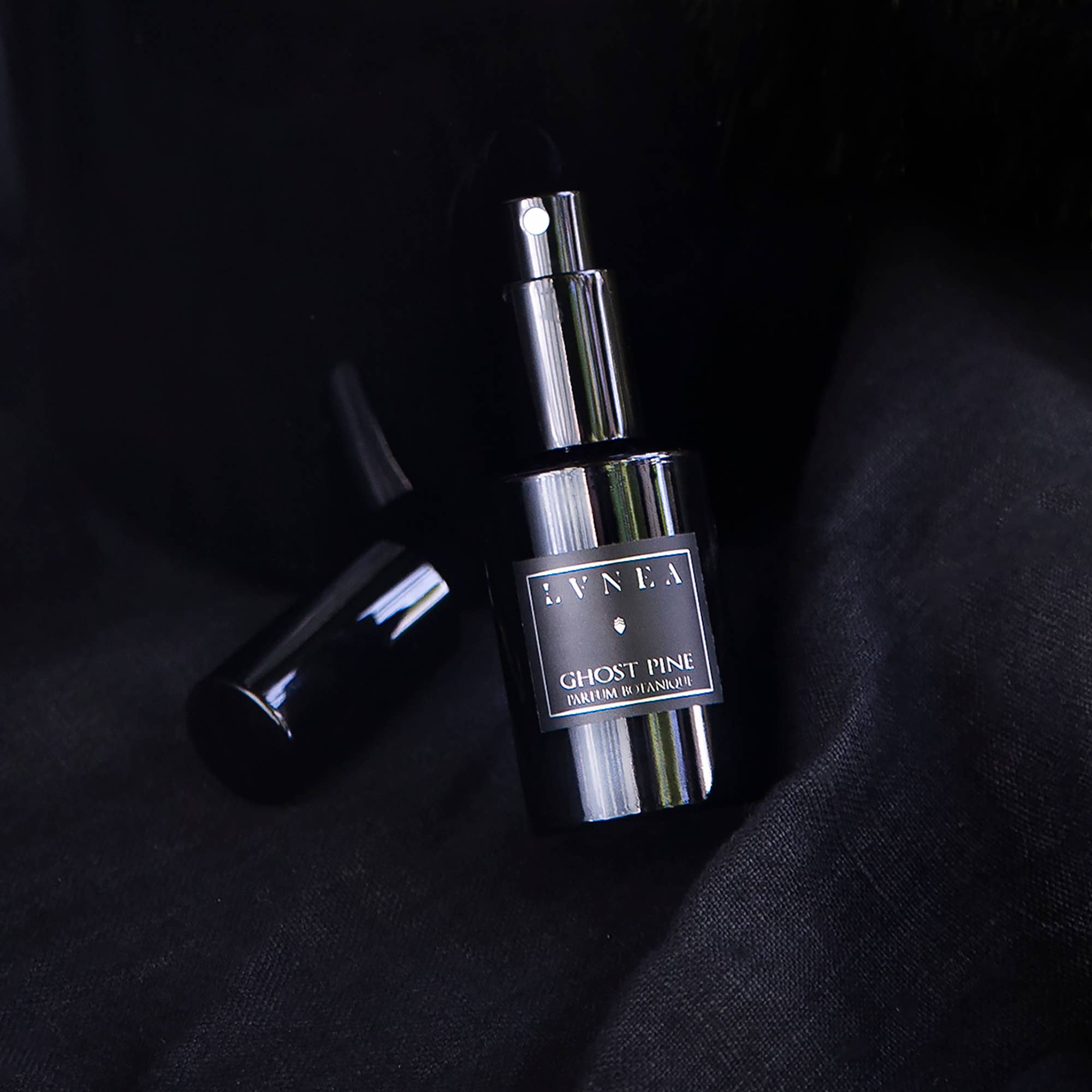 Lvnea Perfume - Wholesale Perfume/Eau de Toilette - GHOST PINE Eau de Parfum | Pine needles, ancient woods, moss3