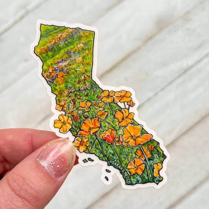 BarnHouse Studios - Wholesale Sticker - California State Flower Superbloom, 3" Clear Vinyl Sticker