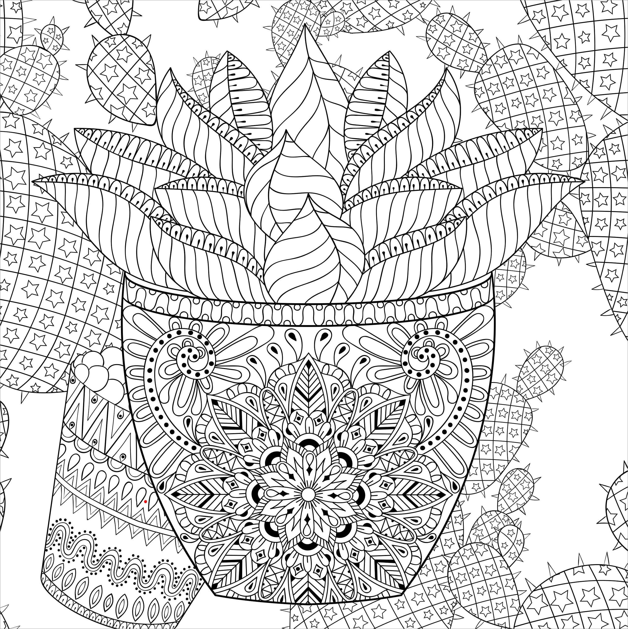 Peter Pauper Press - Wholesale Coloring & Activity Book - Adult - Succulents Artist's Coloring Book2