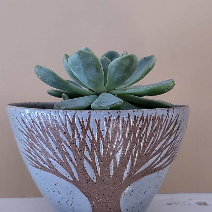 Mini Bowl for wholesale by On The Cusp Pottery