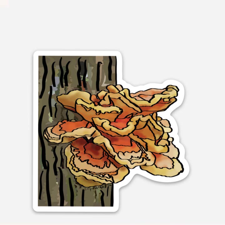 Pollo del bosque para venta al por mayor de Sopow Art