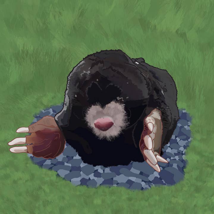 Taupe pour la vente par Dogs And Designs