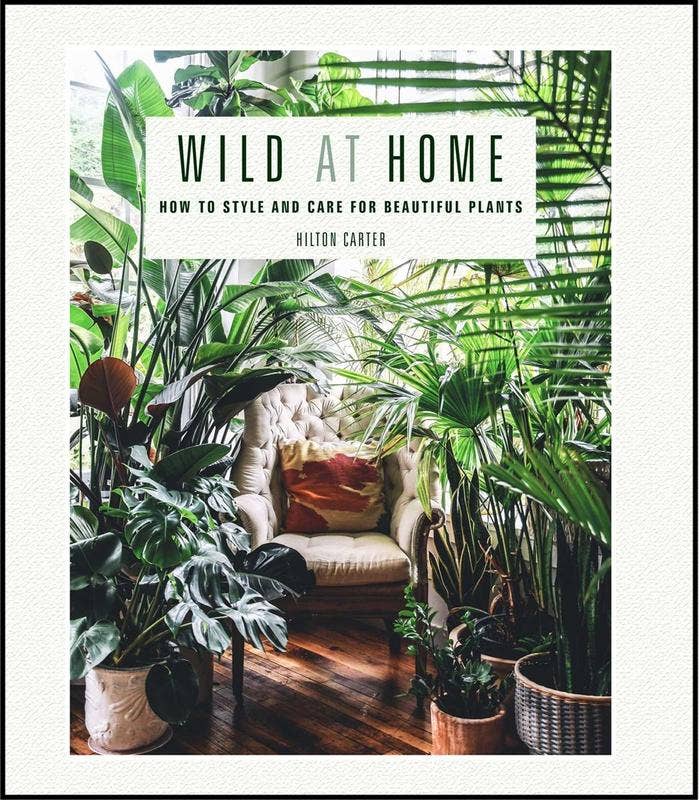 Microcosm Publishing & Distribution - Wholesale Home & Garden - Wild at Home: How to Style and Care for Beautiful Plants0