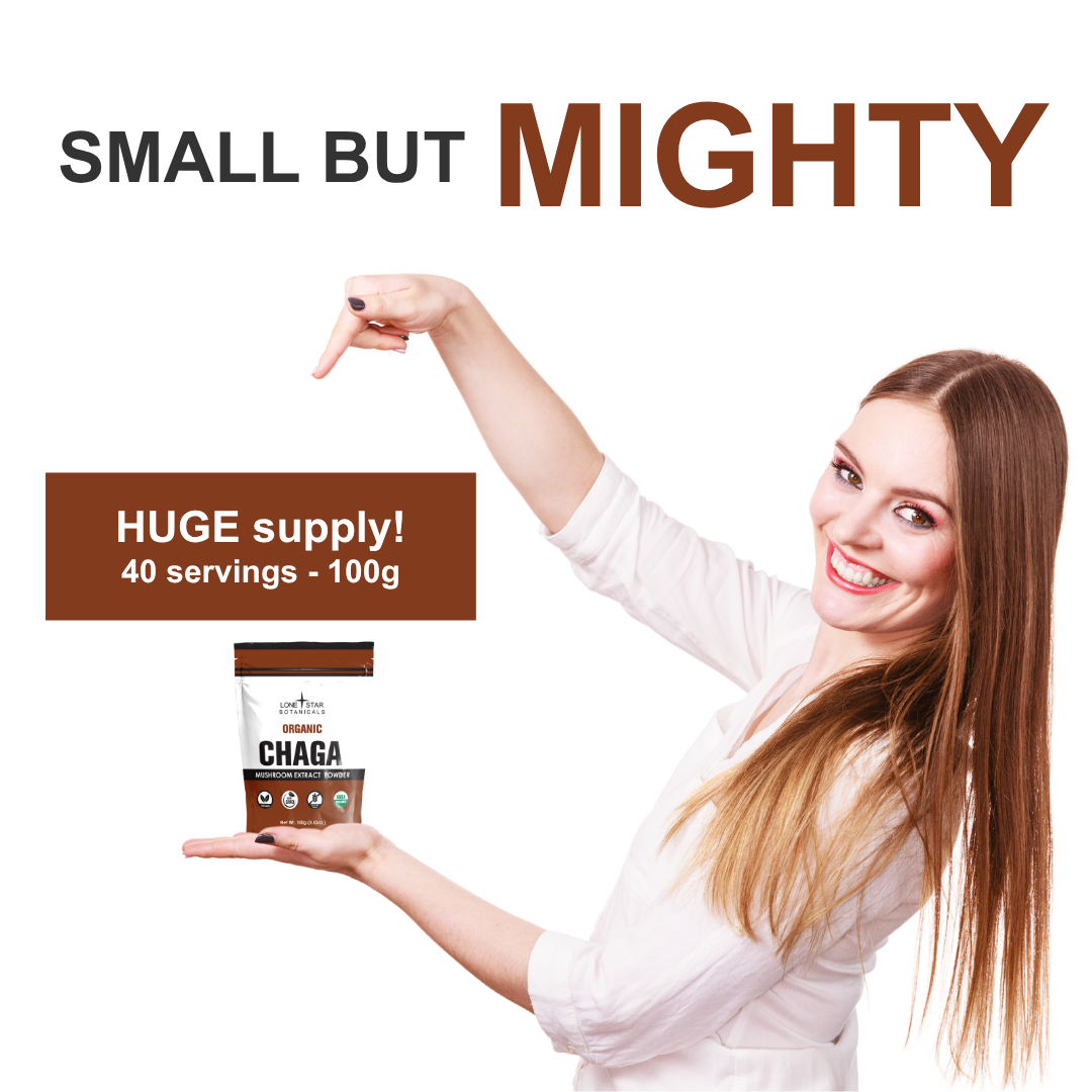 Lone Star Botanicals - Vente Poudres protéinées/superaliments - Poudre d'extrait de champignon Chaga biologique -- 100 g1
