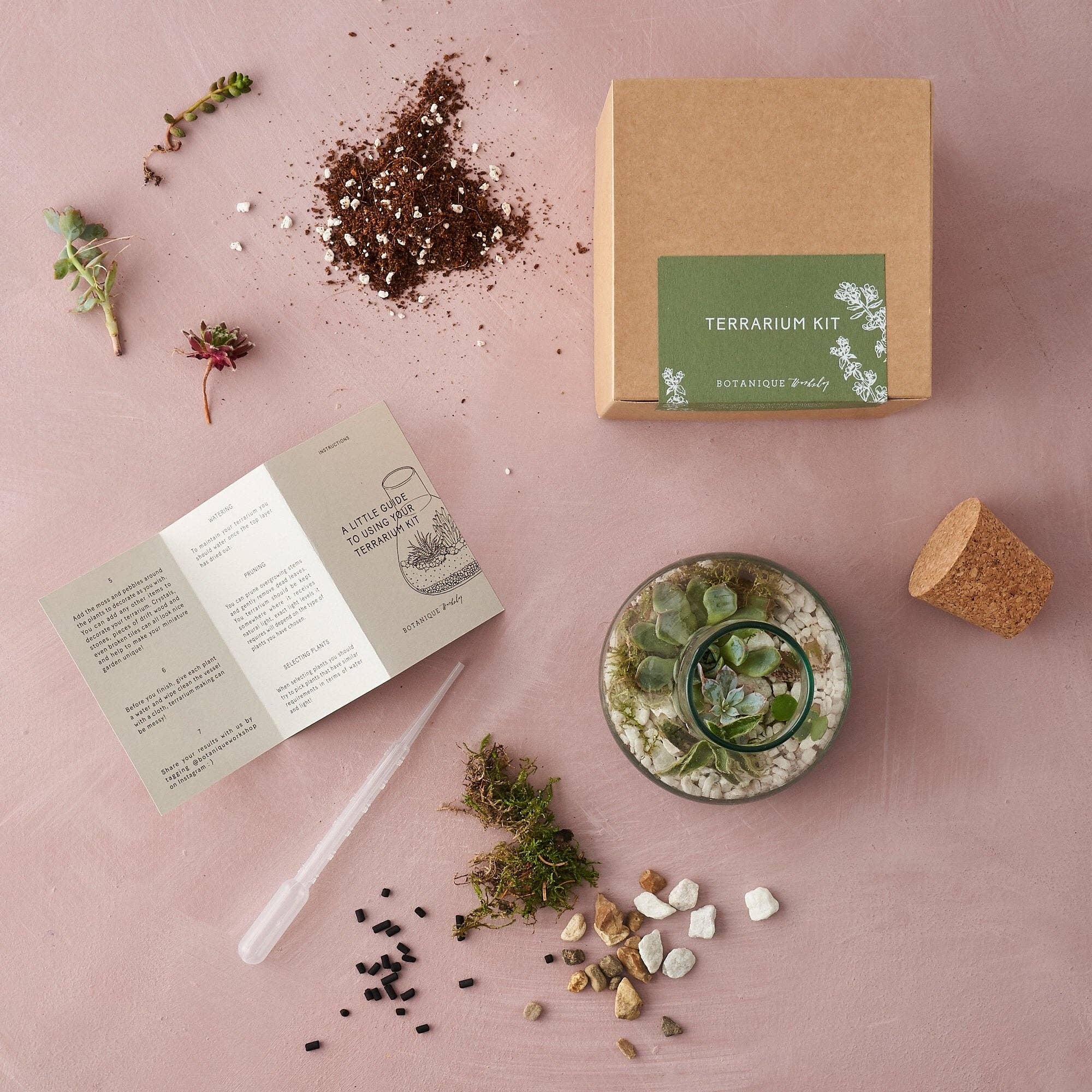 Botanique Workshop - Wholesale DIY Craft Kit - Terrarium Making Kit1