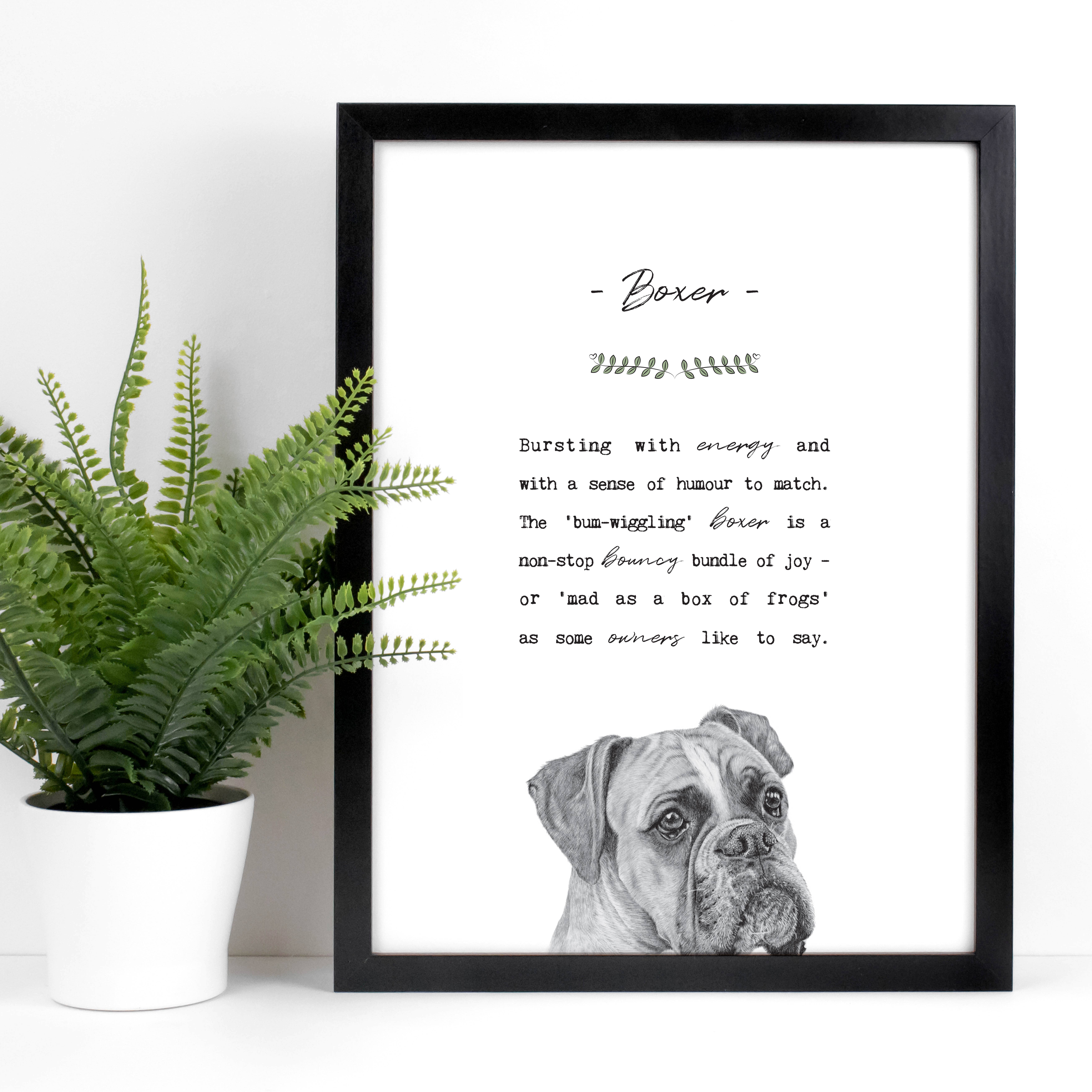 Coulson Macleod (U.S. Duties Paid) - Wholesale Art Print - Best-Selling 'Pooch' Dog Prints with Wooden Display Box6