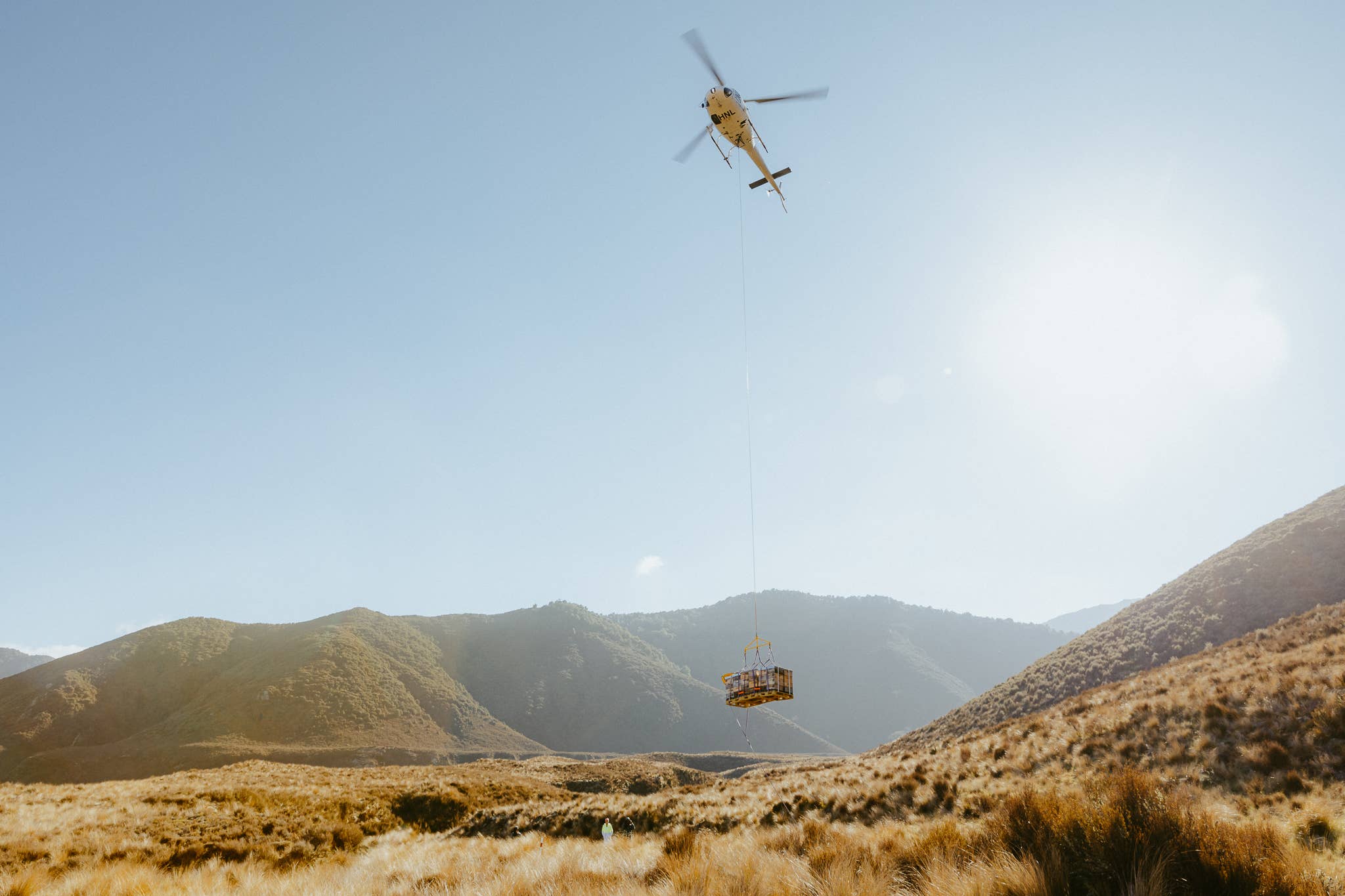 Zealandia Honey - Wholesale Honey - Zealandia Honey® Diamond2