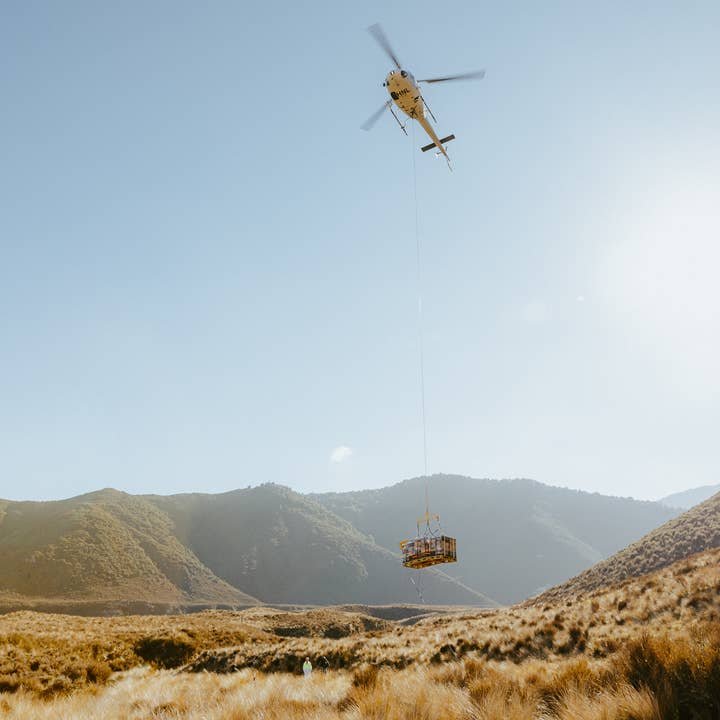 Zealandia Honey - Wholesale Honey - Zealandia Honey® Diamond2