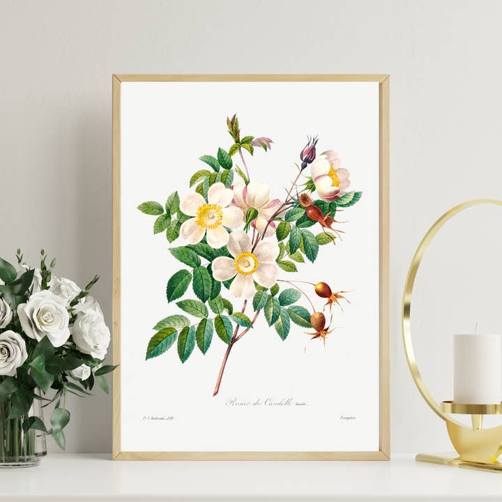 Imprimé floral vintage de roses blanches pour la vente par Lyonette