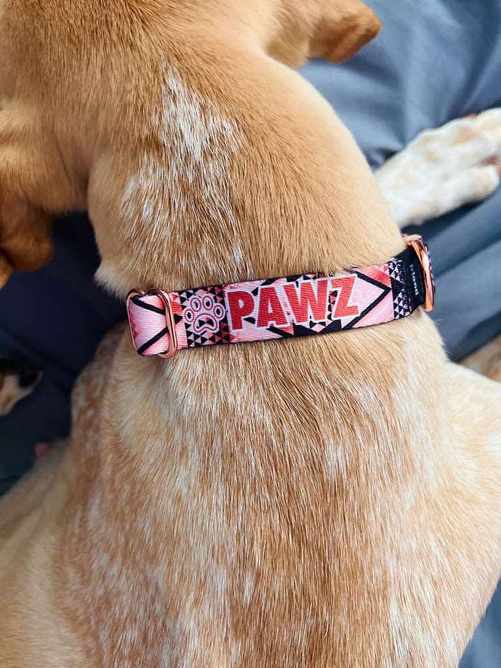 Aztec roségouden hondenhalsband voor wholesale door PAWZ