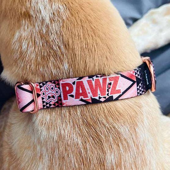 Aztec Rose Gold Dog Collar for wholesale by PAWZ