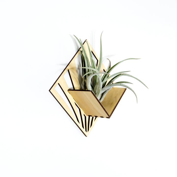 LIGHT RAZOR DESIGN STUDIO - Wholesale Wall planter - Air Plant Holder / Quadrate Wall Hanging Planter 2102