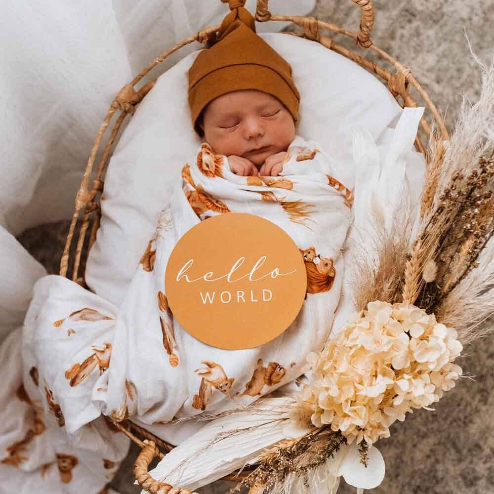 Snuggle Hunny – wholesale Milestone art/keepsake – Child & baby – Lion & Sunrise Gold Reversible Milestone Cards3