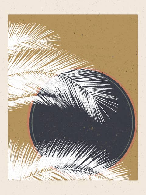 Belle Mare for wholesale by Walker Noble Studios