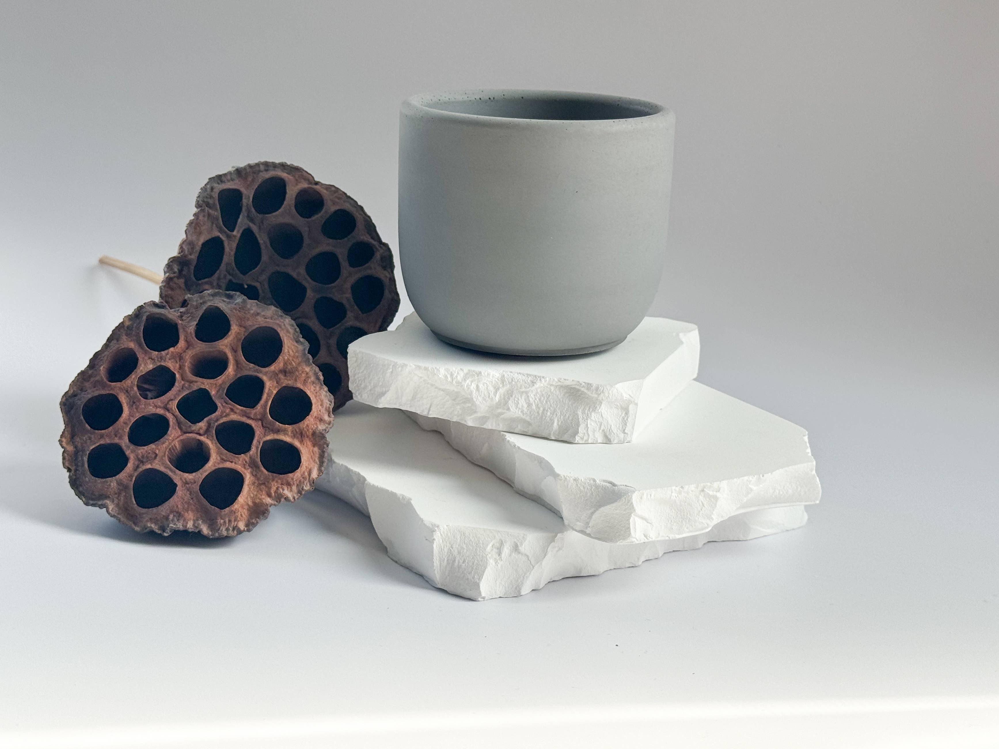 Tavv Inc - Wholesale Candle Holder - Concrete,Tulip shape Candle Vessel, 8oz10