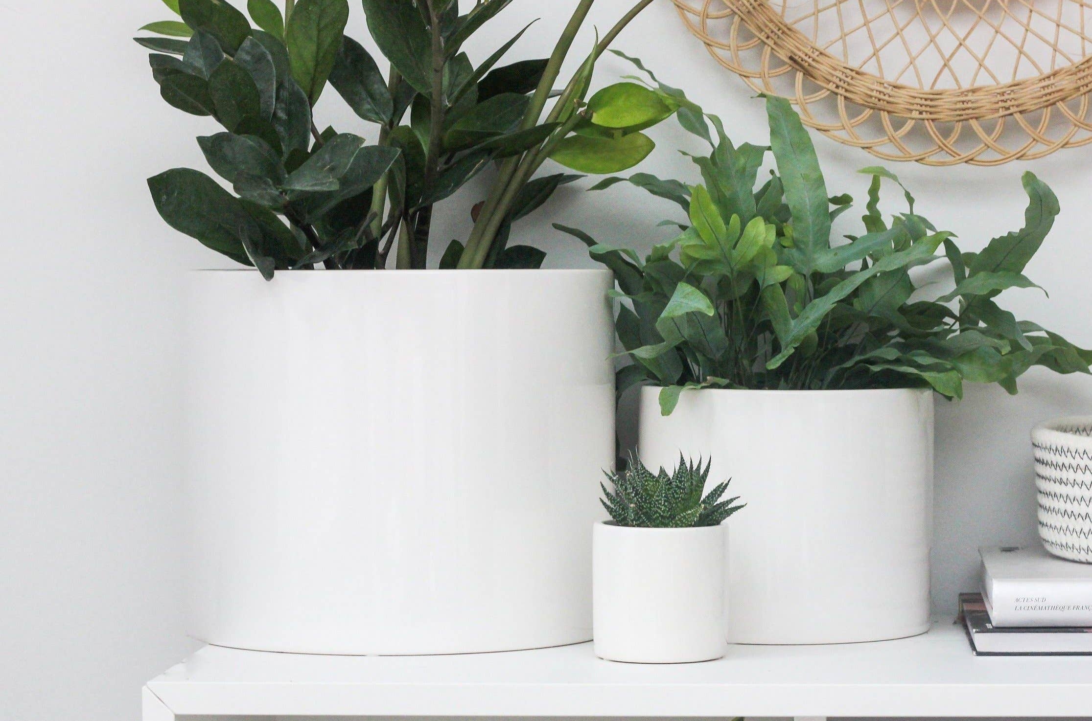 1 x Small White Ceramic Face Head Design Plant Pot Vase Planter Gisela Graham 