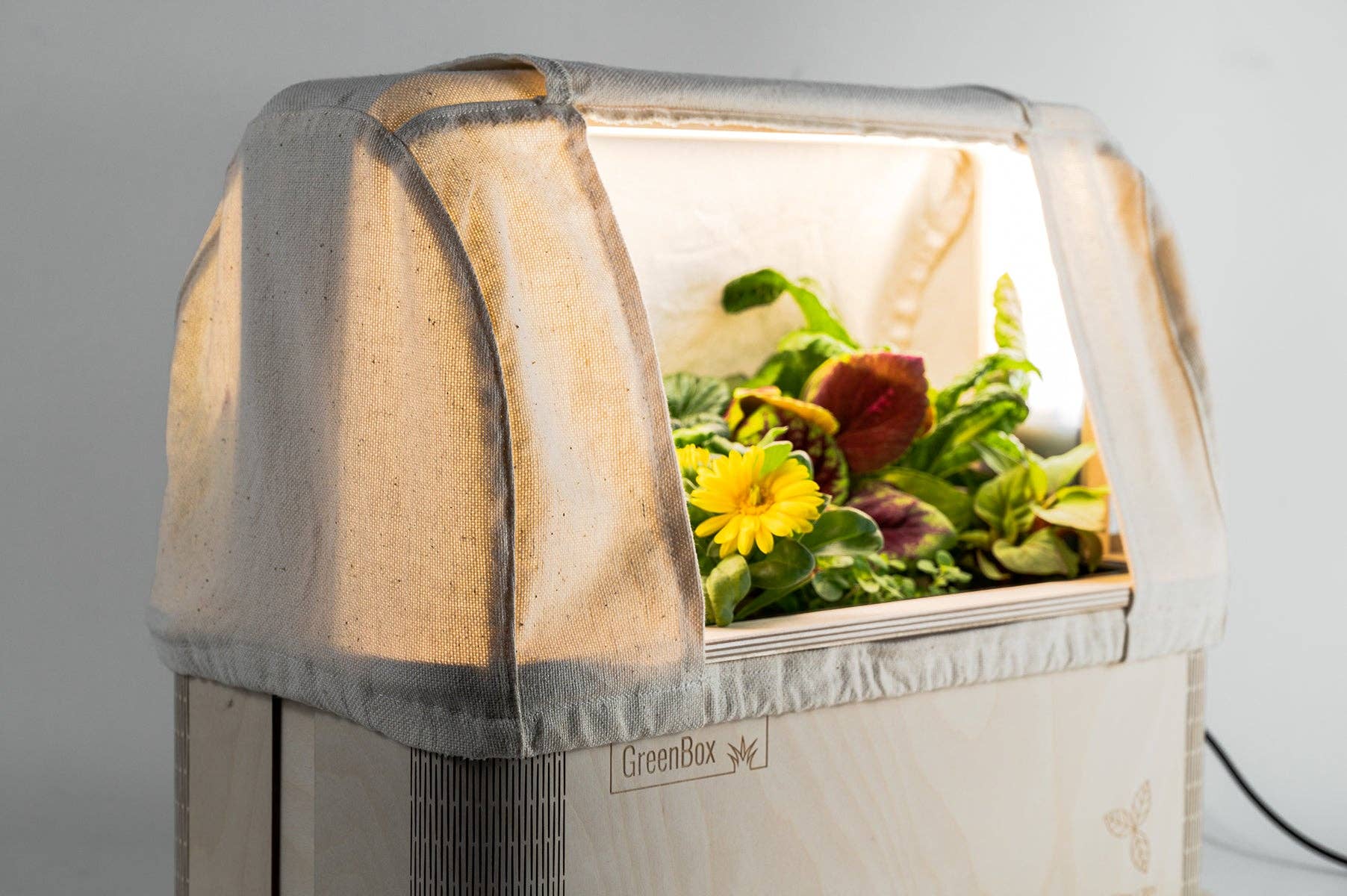 BerlinGreen - Venta al por mayor Macetas - Tiendas Greenbox para plantas con pantalla difusora de luz4