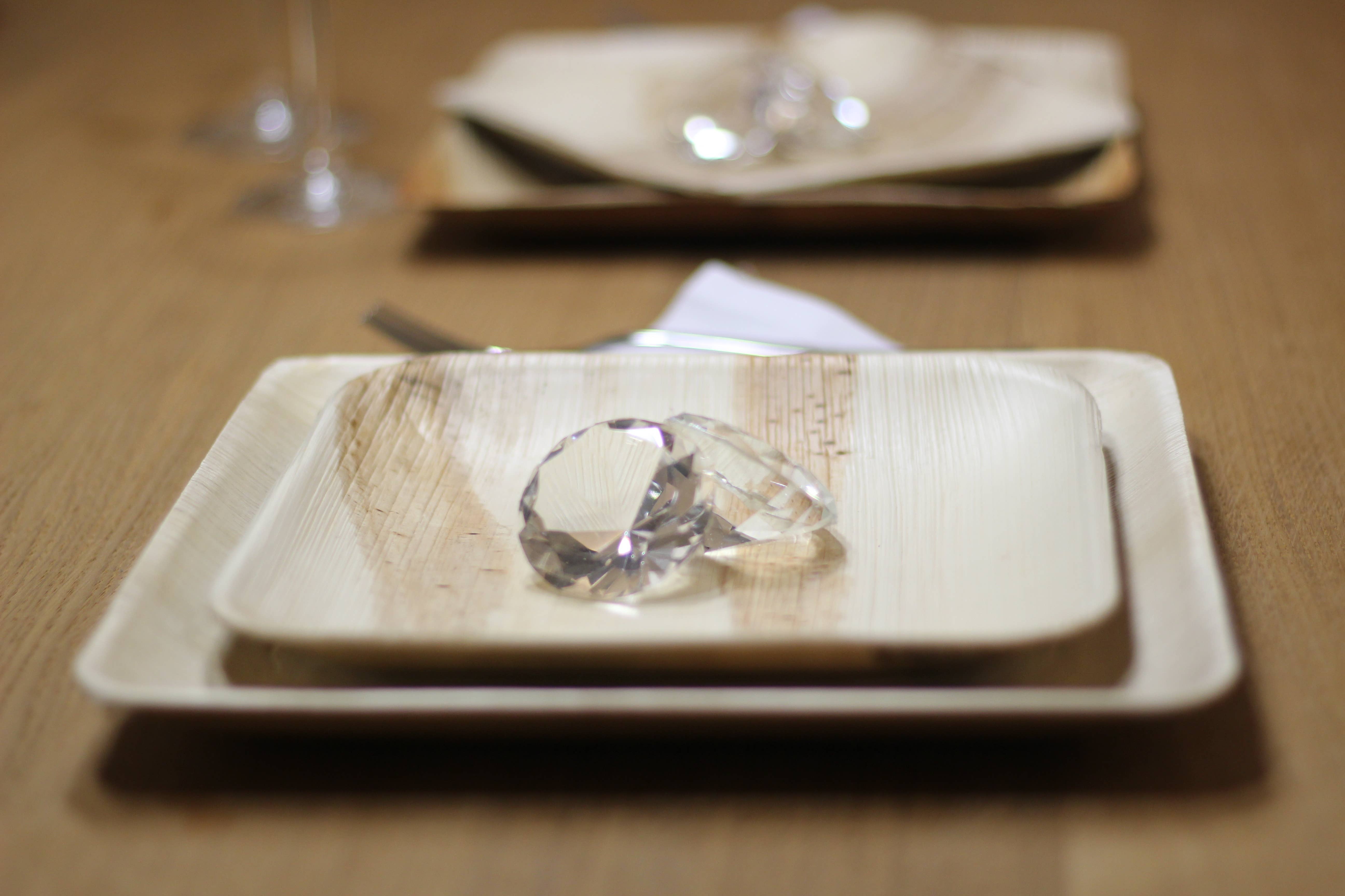 GNB S.r.l. (BioChic) - Wholesale Disposable Plate - Compostable disposable palm leaf plate 18x18cm5