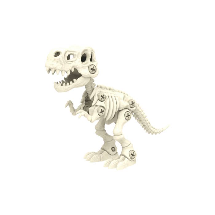 Toysmith - Wholesale Toy Set - Kids - Toysmith BYO Dinosaur Skeleton