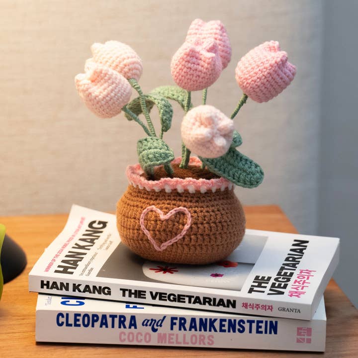 Craft Club - Wholesale DIY Craft Kit - Tulip Pot - Crochet Pot Plant Kit6