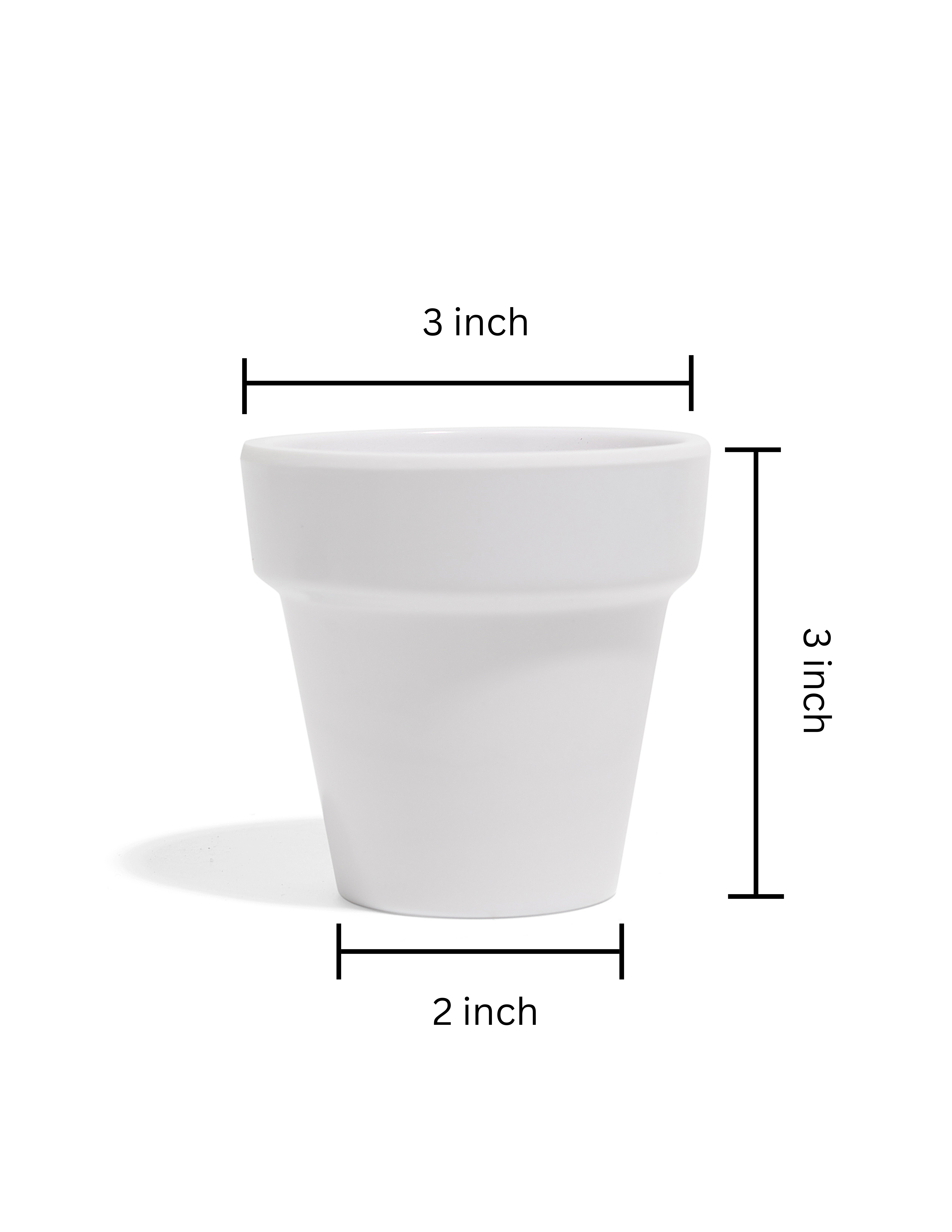 Succulent Kreations - Wholesale Plant Pot - White Pot for 2-2.5" plant3